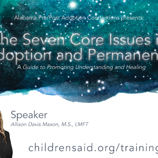7 Core Issues in Adoption and Permanency: A Guide to Promoting Understanding and Healing