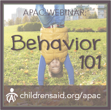 Behavior 101: Understanding Applied Behavior Analysis and Strategy
