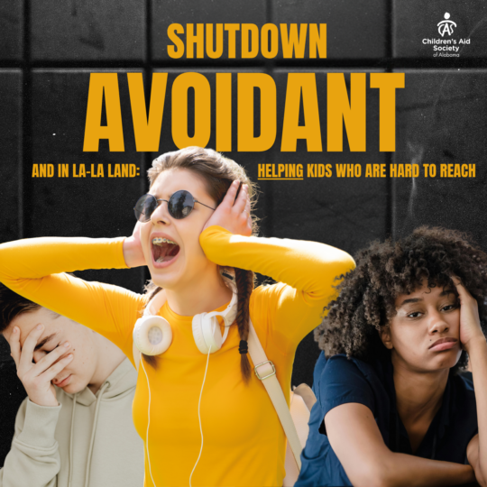 Shut Down, Avoidant, And La-La Land Helping Kids Who Are Hard To Reach (Copy)